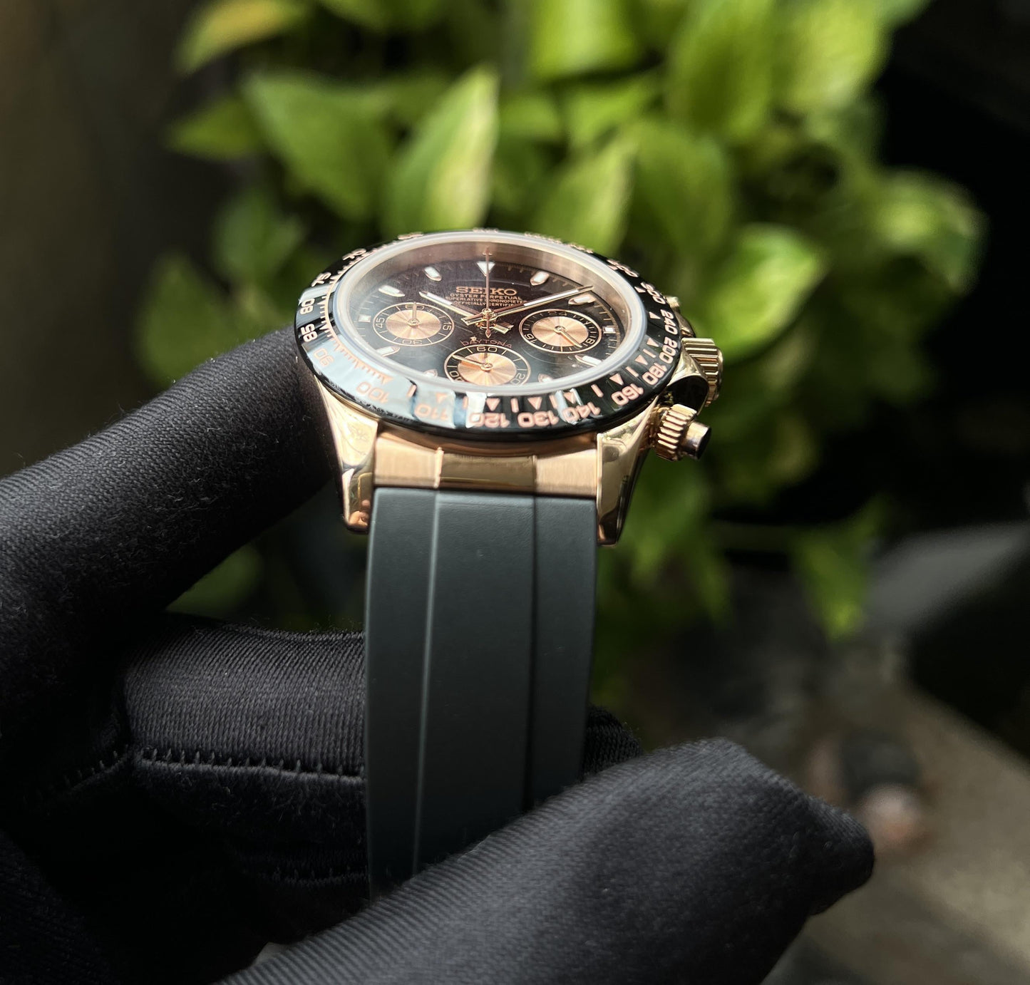 Seitona rose black