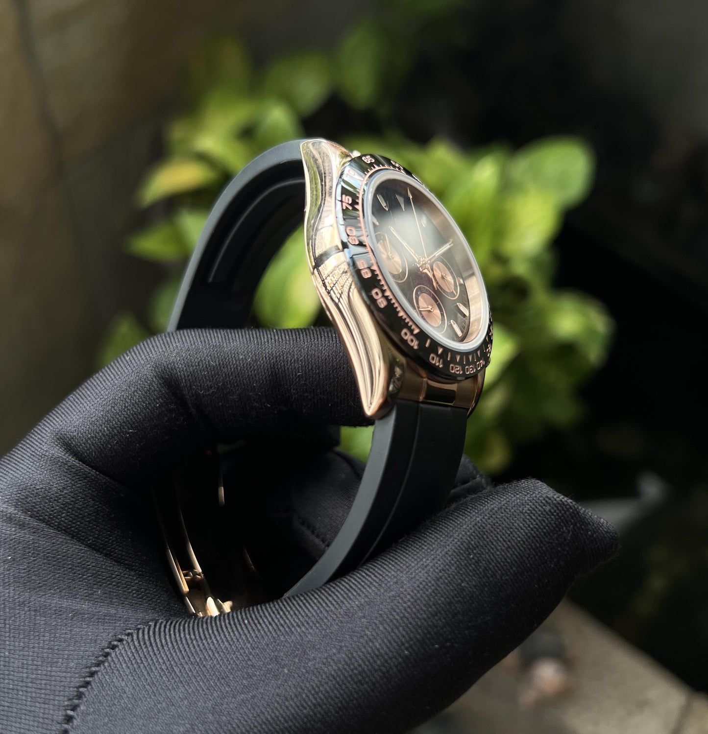 Seitona rose black