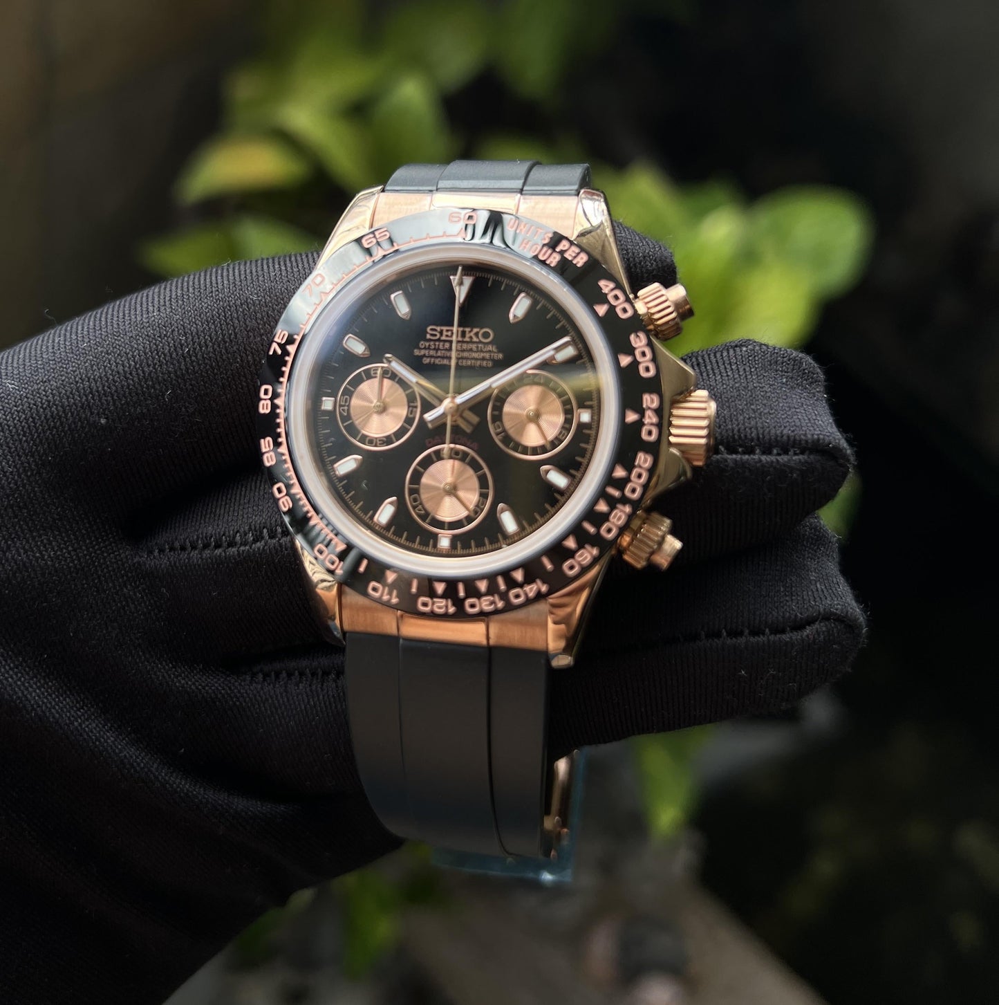 Seitona rose black